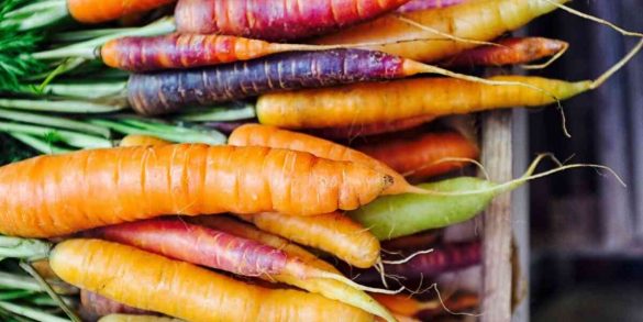Morroccan Carrot Salad 3 9